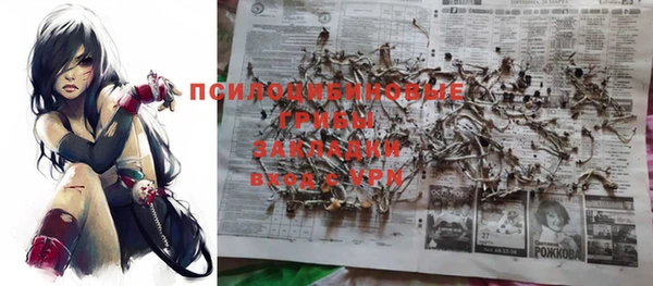 МДПВ Волоколамск