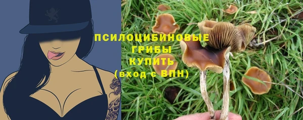 МДПВ Волоколамск